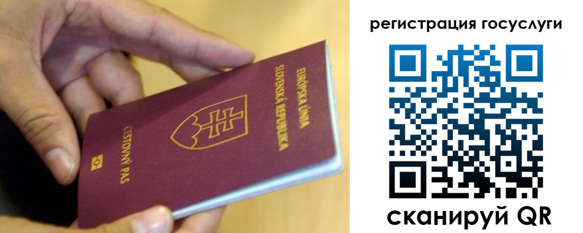 прописка в квартире в Красноармейске